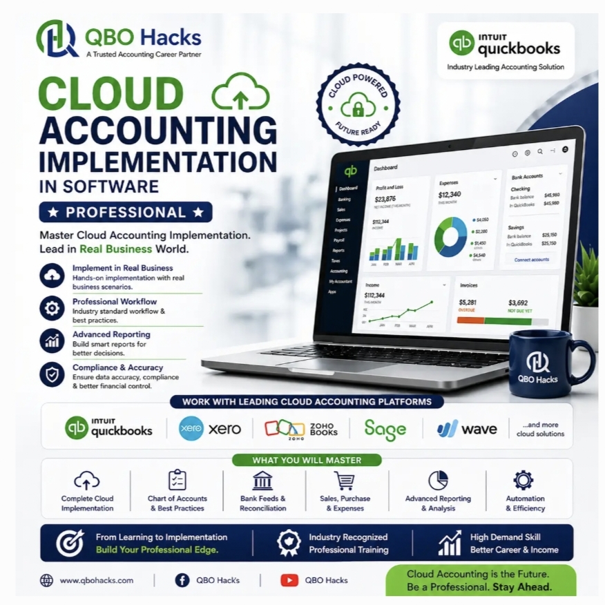 Cloud Accounting Implementation ins Software (Professional)